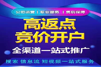 百度竞价广告的投放技巧与案例分享